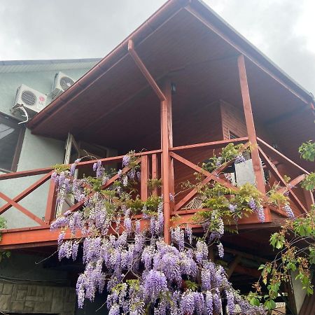 Fkoka Bed and Breakfast Berehove  Εξωτερικό φωτογραφία