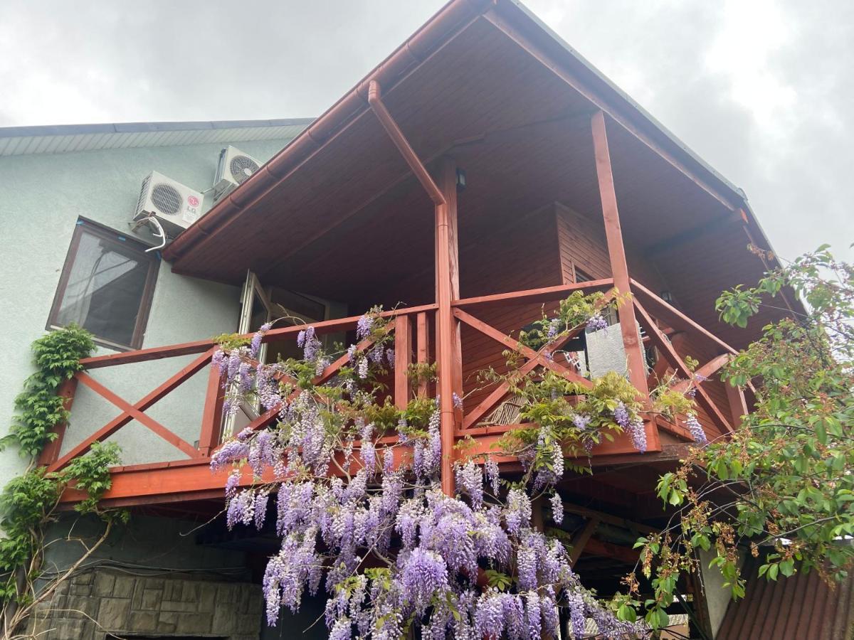 Fkoka Bed and Breakfast Berehove  Εξωτερικό φωτογραφία