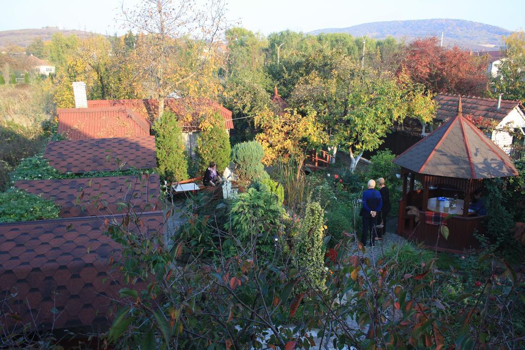 Fkoka Bed and Breakfast Berehove  Εξωτερικό φωτογραφία