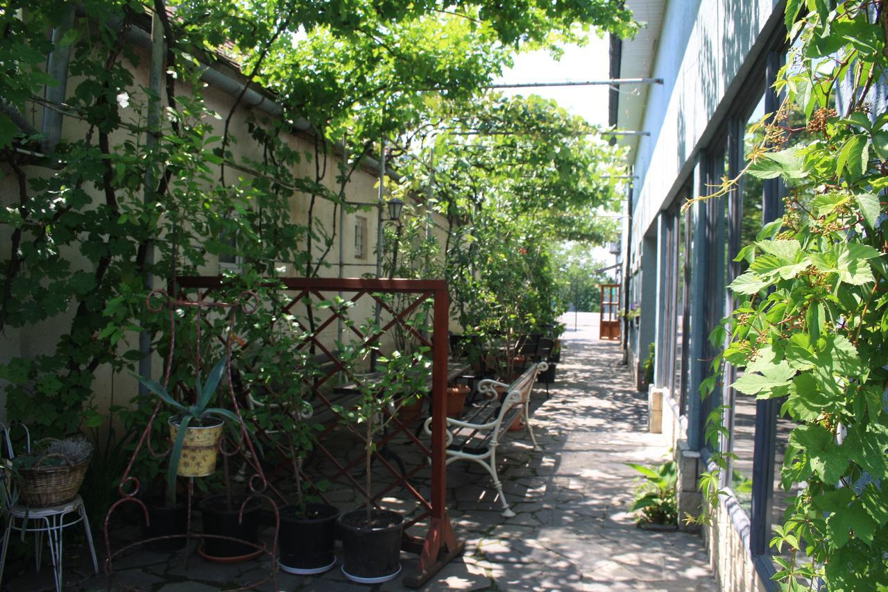 Fkoka Bed and Breakfast Berehove  Εξωτερικό φωτογραφία